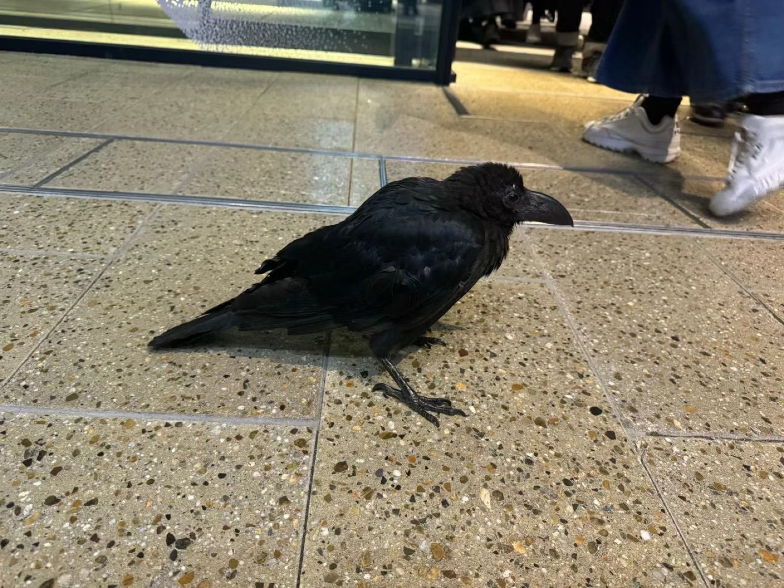 Osaka